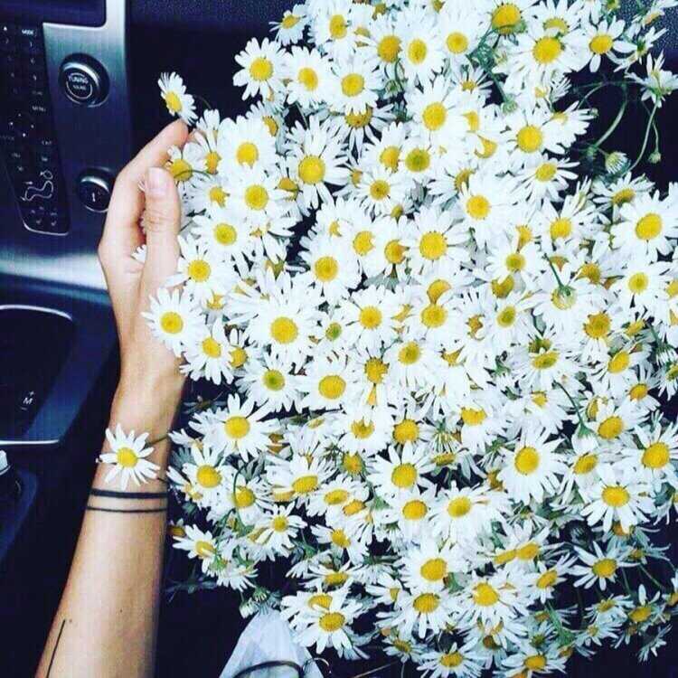 Девушка с букетом ромашек