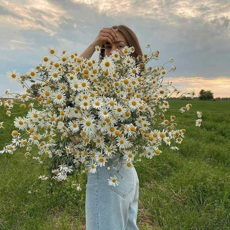 Позы для фотосессии в ромашковом поле