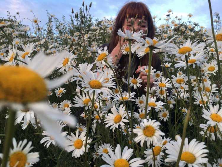 Девушка с ромашками Эстетика