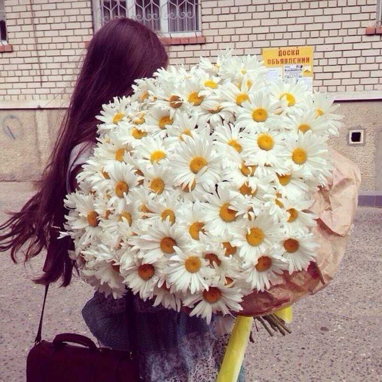 Брюнетка с букетом ромашек4