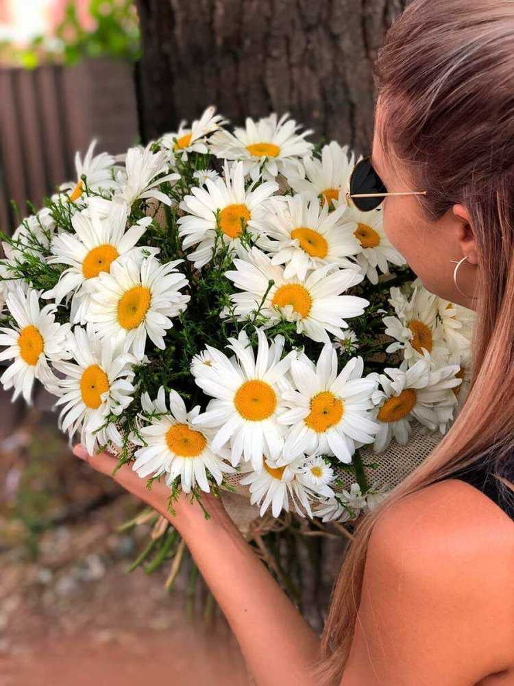 Букет ромашек