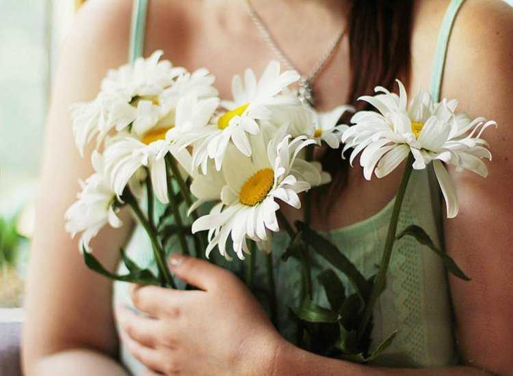 Букет ромашек в руках