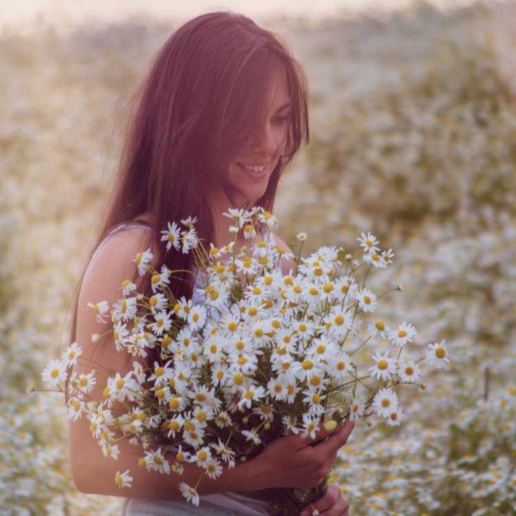 Девушка брюнетка с ромашками