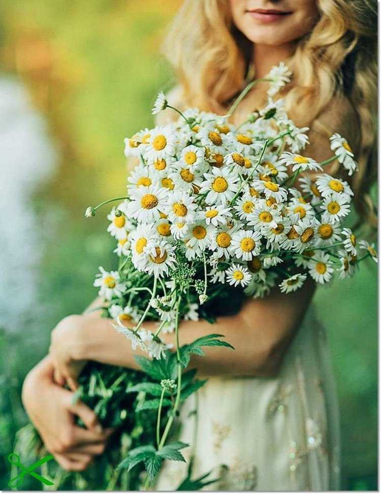 Блондинка с ромашками