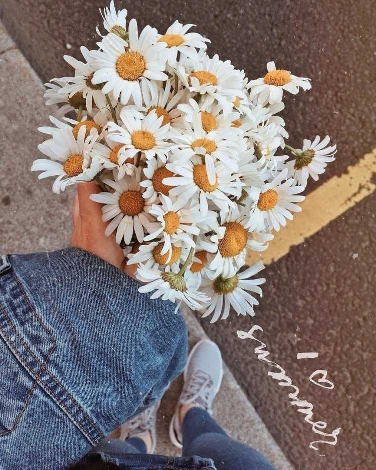 Букет ромашек селфи