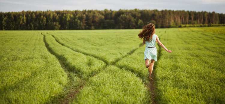 Прогулка в поле