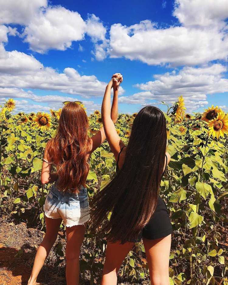 Лето подруги