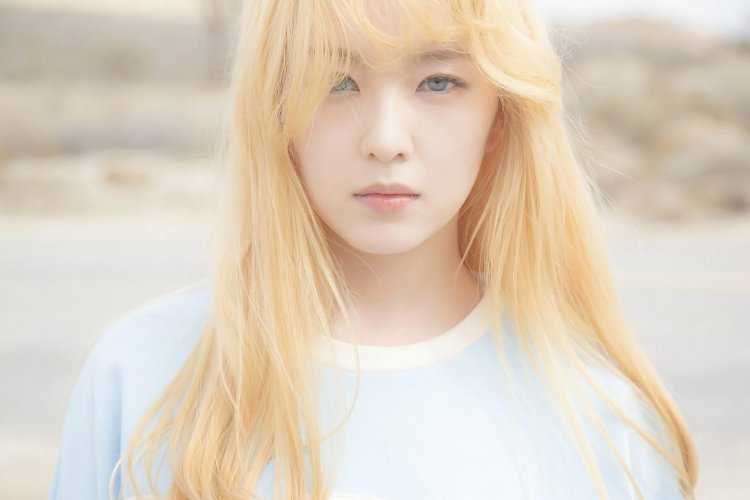 Red Velvet Ice Cream Cake Irene