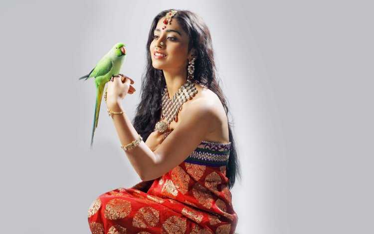 Шрия Саран попугай