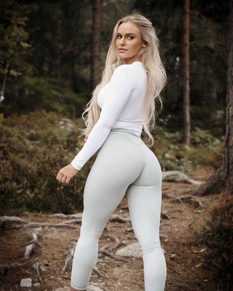 Стиль Шведов