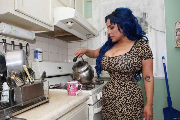 Толстая домохозяйка