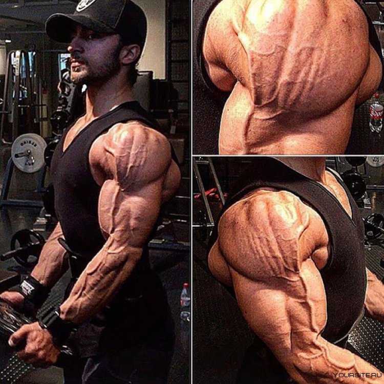 Сухой бицепс