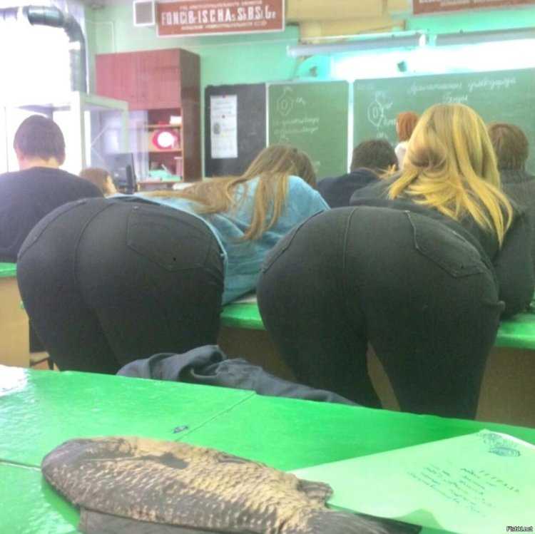 Красивые попы в леггинсах