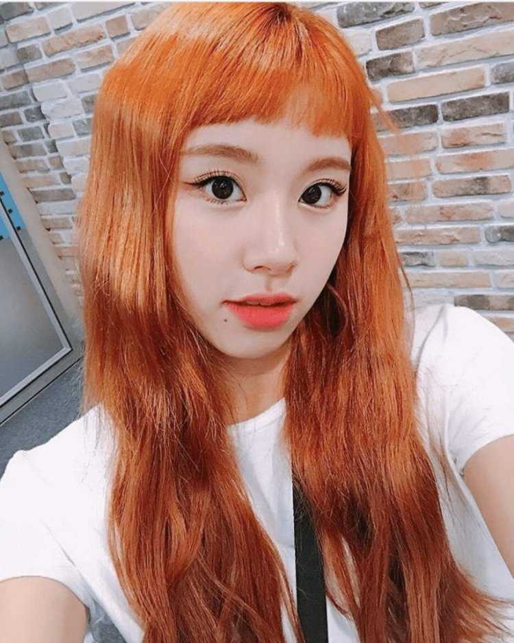 Чеён твайс рыжая