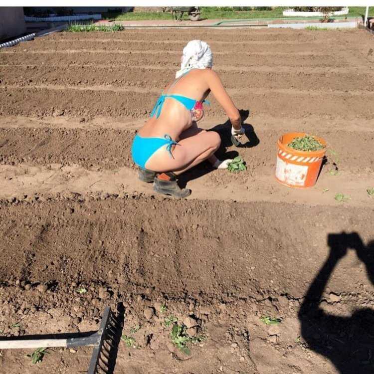 Женщина в огороде