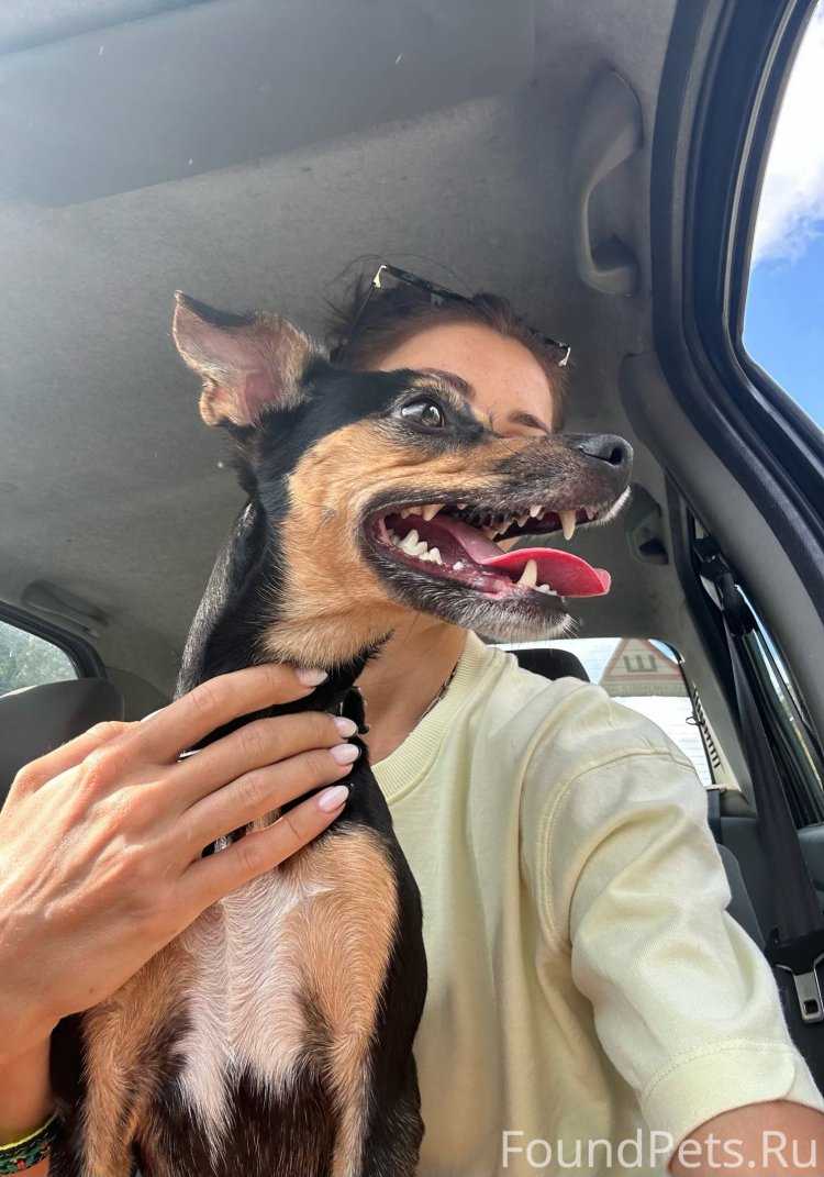 Рыжая гречанка13