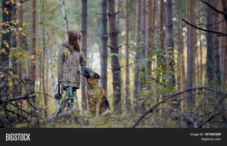 Девушка с овчаркой в лесу