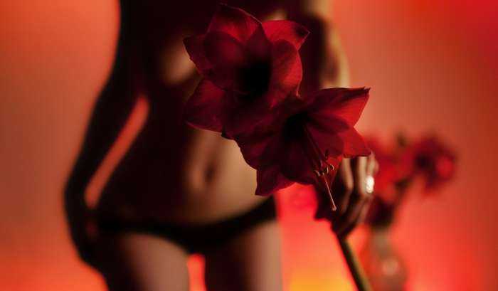 Девушки с розами на фото