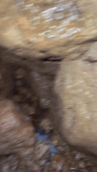 Голые девушки в анимации