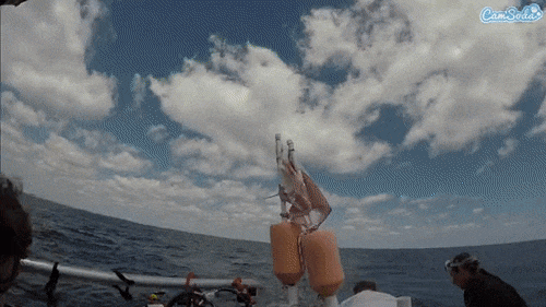 Голые девушки в анимации